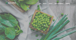 Desktop Screenshot of infusionqatar.com